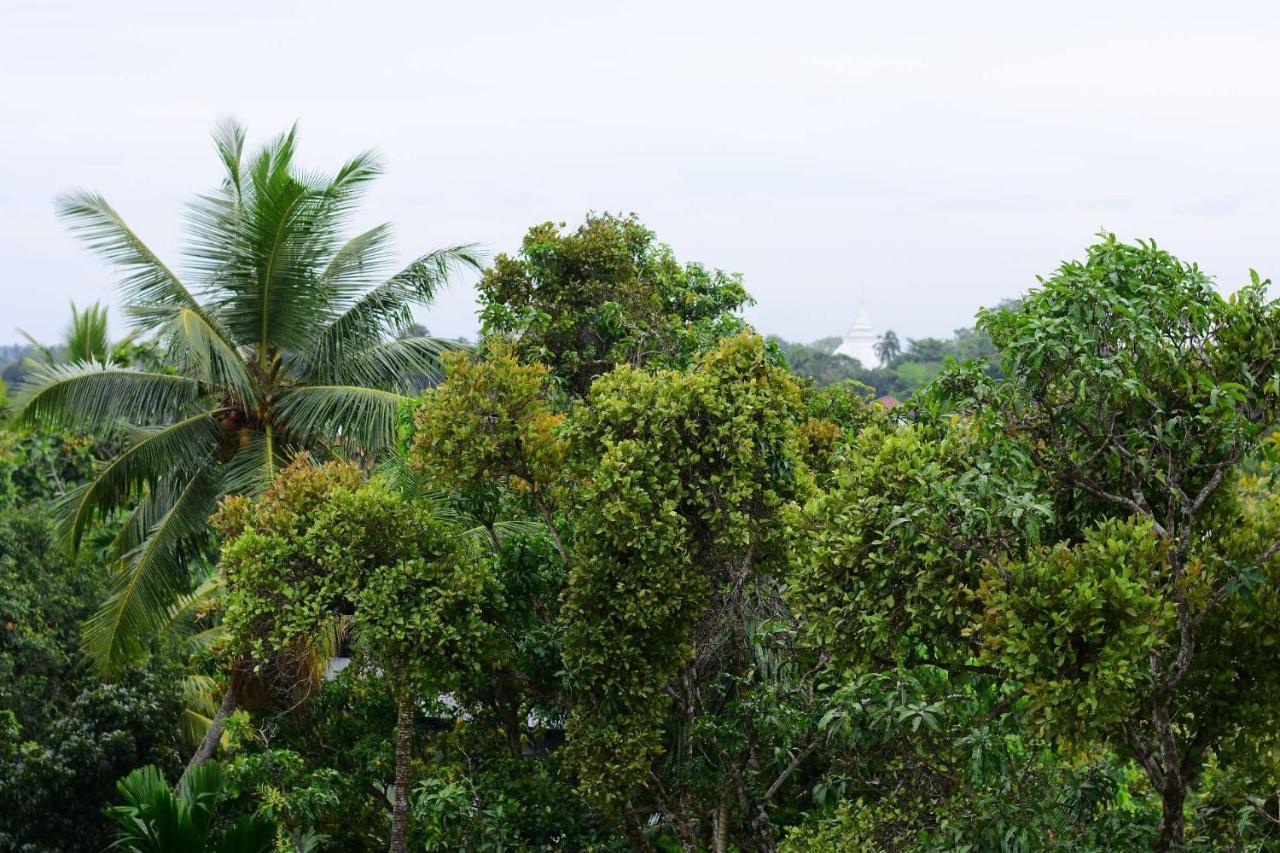 Heritage Eco Resort Kelaniya المظهر الخارجي الصورة