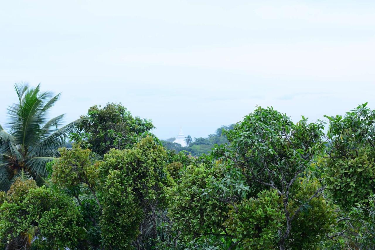 Heritage Eco Resort Kelaniya المظهر الخارجي الصورة