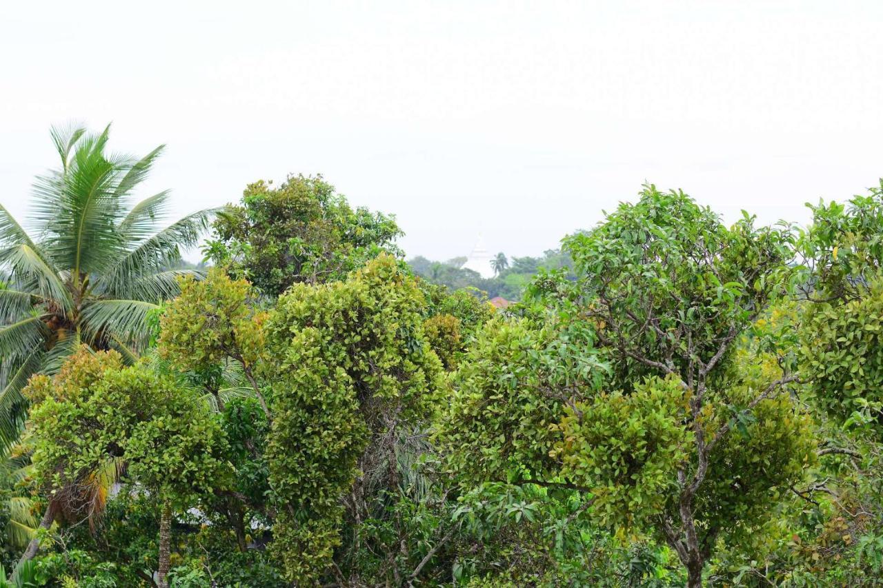 Heritage Eco Resort Kelaniya المظهر الخارجي الصورة